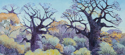 Baobabs - Damaraland - Etosha | 2014-15 | Oil on Canvas | 51 x 77 cm